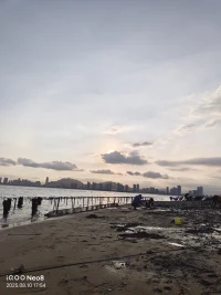 一起趕海吧～～配圖