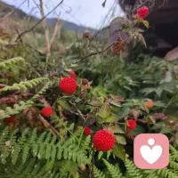 1. 瓶子故事：大脑的价值取决于“装”什么

一个空瓶子，值一毛钱。

装上水，值一块；装上饮料，两块；牛奶，十块；换成好酒，直接上百。

我们的大脑也是这样：

装游戏、短视频这些没用的东西，就一文不值；

装课本里的知识、书里的道理，你就会变成“值钱”的人，走到哪儿都有底气。

2. 选择权：读书让你少受累，有资格选择生活

别只跟孩子谈未来（如考大学、找好工作），他可能听不懂。试试这样问：

夏天想在空调房里坐着干活，还是在太阳底下搬东西？
他一定知道选前者。
读书不一定大富大贵，但能让你少受点累，有资格选自己喜欢的事，而不是别人安排啥你就得干啥。

3. 少受委屈：读书是保护自己的底气

没文化的人，被骗了都不知道怎么回事，被人欺负了，连说理的话都讲不明白。

书读多了，能分清对错，知道怎么保护自己，别人想糊弄你都难。

这不是本事，是让自己活得舒坦的底气。

4. 身边的圈子：读书帮你遇到“贵人”

你现在身边的同学，是一起刷题、聊知识点的；

早早不读书，遇到的人可能只会聊去哪玩、怎么混日子。

读书就像筛子，帮你遇到更合拍、能一起变好的人，这些人会是你未来的贵人。

5. 抢不走的本事：读书是为自己积累终身技能

别跟孩子说“为爸妈读书”，他会觉得是替你还债。要告诉他：

书是给你自己读的，本事长在你身上，谁也抢不走。

现在偷的懒，将来都得加倍补回来。

你可以讨厌考试，但别讨厌学习。学习是为了将来能随心所欲选生活，而不是被生活逼着走。配图