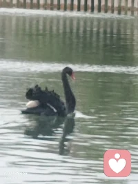 做什么不重要，重要的是自己想做就可以配图