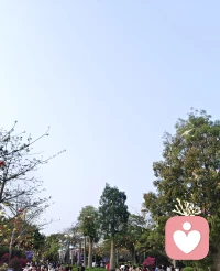  我们都在人海里独行，热闹只是暂时的同行。配图