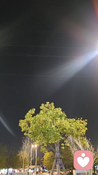 清晨有风，心里有光，愿你今日轻松自在。配图