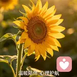 温柔玫瑰积木之心的头像