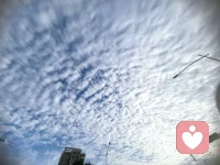 一个人很难在青春的时候享受青春，很难在经历美好的时候知道这是美好的。去年今日此门中。人面桃花相映红人面。不知何处去桃花。依旧笑春风昨日。看花花灼灼，今朝看花花玉露。柳絮纷飞各西东，物是人非已不同。