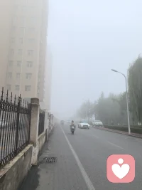 有的人二十歲就嫁人生子，有的人三十歲了還在追尋自己，有的人為車房奮斗一輩子，有的人騎著一輛單車走南闖北。你要成為什么樣的人，過什樣的生活，你不后悔就行，你沒有領先，你沒有落后，每個人的花期不同，不必焦慮，有人比你提前擁有，人生不是短長跑，而是馬拉松，在自己的時區里，一切都會準時，一歲有一歲的味道，一站有一站的風景，花會沿途盛開，以后的路也是。
                                                  —悉達多配圖