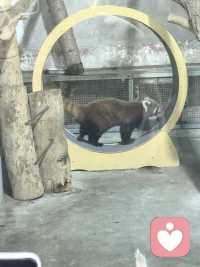 你穿的體面點(diǎn)，說(shuō)話(huà)不定一點(diǎn)，做事果斷一點(diǎn)，演著演著，你的假動(dòng)作就變成了真本事為你要先假裝你很厲害，直到你真的變厲害，你想要成為誰(shuí)的話(huà)，你就要去扮演它，因?yàn)檫@個(gè)世界就是一個(gè)巨大的草臺(tái)斑，你不要怕，怕呢，心理學(xué)上呢，有一個(gè)已經(jīng)被驗(yàn)證的說(shuō)法，就是大腦呢，它其實(shí)是分不清想象和現(xiàn)實(shí)的，你每一天反復(fù)的強(qiáng)調(diào)自己，我能行，我行，大腦就真的會(huì)給你想解決辦法，所以呢，你要每天給自己積極一個(gè)心理暗示，你每天進(jìn)步一點(diǎn)點(diǎn)，你這個(gè)夢(mèng)想就會(huì)照進(jìn)現(xiàn)實(shí)了。真的，你只有自己實(shí)現(xiàn)了，你才能懂什么叫相信，相信的力量就是當(dāng)你相信自己真的會(huì)變好的時(shí)候，你就會(huì)變好。配圖