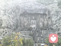 恐惧是生物的本能，但勇气是灵魂的赞歌