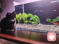 你的幸福，第一位❤


✨咨询范围
婚外情、情外情、情感纠葛、暗恋、异地（国）恋、无性婚姻、冷战、情感创伤修复

✨擅长领域
专注婚外情问题分析处理，男性思维深度分析，个人婚恋情感多维度提升

✨咨询特点
逻辑清晰、幽默诙谐、合理分析、简单直接、真诚表达

     本人通过亲身经历以及丰富案例经验，对婚恋修复以及婚外恋情处理有自己独到的见解。不批评不道德绑架，以来访为中心，尊重与理解人性。从社会以及原生家庭多个角度来处理来访者的实际问题