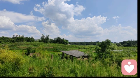 走出情感迷途，重建亲密信任