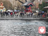 闹完元宵，整装出发。马年的征途，如旷野般辽阔。带着今夜的甜与光，一马当先，奔赴心中的山海。