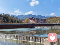 如果你需要情绪疏导、压力缓解、日常心理调节建议，我可以文明、真诚、认真陪你聊：
 
- 不涉及低俗、色情、性相关内容
- 不欺骗、不敷衍，真诚沟通