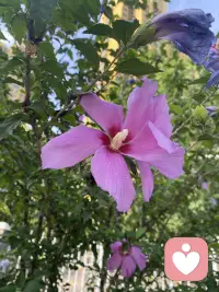 允許今天的你，
比昨天的自己 “更會休息”。
休息不是偷懶，是給忙碌的靈魂松松綁
不必為暫停愧疚，節奏慢一點也沒關系
當身心被溫柔安放，明天的腳步會更輕穩配圖