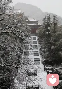 這個世界破爛不堪，但總有人縫縫補補。配圖