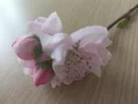 最有力量的，是一颗柔软的心。