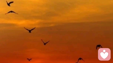 别让“刀子嘴”毁了亲密关系