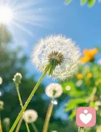 ?人與人之間，各有各的苦，各有各的甜。不必比，不必急，安住自己的節奏，珍惜自己的擁有。心若安寧，萬事皆輕。配圖