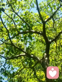 且聽且忘且隨風，且行且看且從容，
沒有完美的生活，只有最好的心態，
生活應該有所期待，
只要快樂，其次…都是其次！配圖