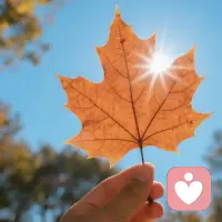 怕什么失去？又不是只有你失去配圖