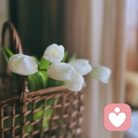 把時間用在事情上，而不是情緒上，
塑造自己成為勇敢有力量的人。
總有一天，再次回首，
那些曾讓人痛徹心扉的過往，
化作細細的雨，流出生命，
留下的只是云淡風輕。配圖