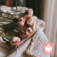 不要為了任何人，讓自己變得廉價。你的善良，要有底線和原則，你的熱情，要留給值得的人。人，貴在自知、自重、自愛。你的價值，從來不需要向外尋找認可，只需要向內確認：我很好，我值得被愛，被珍惜，被溫柔以待。配圖