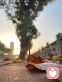 人生最好的心态：乐观是标配，知足是高配，无谓是顶配。不抱怨生活的苦，也不炫耀拥有的甜，在自己的世界里，安静，自在，不受约束，不用迁就，人生缓缓，自有答案。