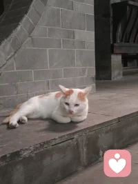 傻丫头，不要一直责怪过去瞎眼的自己，她曾经站在雾里也很迷茫。