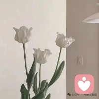 有生就有滅，有聚就有散，
這不過是事物平常的狀態。
堅強或者脆弱，接受或者抗拒，生活都會繼續。
在繁華中，在廢墟中，生活都在繼續。配圖