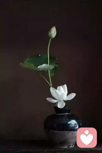 拖延不是懶，是恐懼穿了休閑裝配圖