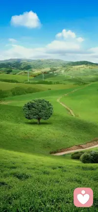 若你的光源自內心，便永不迷失。配圖