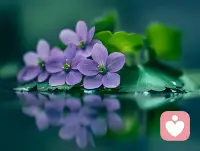 深呼吸4秒+屏息4秒+呼氣6秒=焦慮暫停鍵 —— 哈佛呼吸神經學。配圖