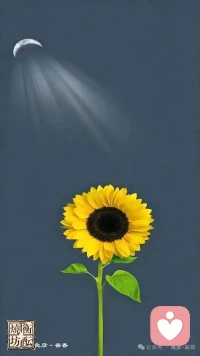 生活最好的狀態就是人靜 物簡 心安配圖