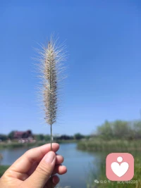 把不忙不閑的工作做得出色，把不咸不淡的生活過得精彩。配圖