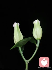 生活不在別處，當(dāng)下即是全部配圖