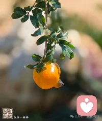 福由相生，相由心生，心由善養配圖