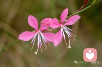 別讓“應該”綁架生活，你不必活成別人眼里的模板。日子是自己的，舒服比正確重要，順從本心，才不算辜負時光。配圖