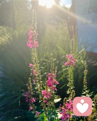 一个人能主动开启第三视角、开始持续反观自己的思维和行为时,就意味着他真正开始觉醒了,他有了快速成长的可能。