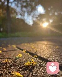 知人者智,自知者明。