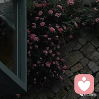 要么解決問題,要么離開問題,不要和任何問題一起生活,無休止地消耗自己.當悲傷大于快樂時,任何關系都要停止.
成年人最好的自律是及時止損,人都有執念,但不能執迷不悟配圖