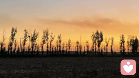 两性交往，选择性“满足”才是爱的最佳方式