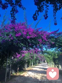 人生沒有白走的路，每一步經歷，都在幫你成為更好的自己。配圖