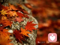 生活不是等待風(fēng)暴過去，而是學(xué)會在雨中翩翩起舞配圖