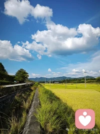 人這一輩子啊，要靠長期做某一件事來成全自己，而不是靠某一個人來成全你。