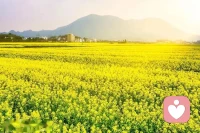 每天讓你的心靈曬曬太陽，驅(qū)散陰霾與黑暗，因?yàn)橐簧墓怯尚陌l(fā)出。