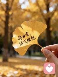 生活需要煙火，不必刻意迎合，
春有百花秋有月，夏有涼風冬有雪。
每個季節都有它的美麗，每個年齡都有它的風景。
安穩于日常，淺喜于光明，
閱己，悅己，樂己。配圖