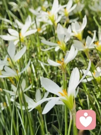 別幻想愛能喚醒良知，能治愈人性。
能救你的永遠(yuǎn)不是深情，而是冷靜；
能護(hù)你的永遠(yuǎn)不是執(zhí)著，而是底線。配圖