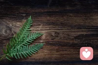 .这个世界上从来没有感同身受，只有冷暖自知。你可以消沉，也可以抱怨，甚至可以崩溃，但你一定要懂得自愈。这个世界上没有多少人心疼你，自渡是一种能力，渡人是一种格局。人活着就应该逢山开路，遇水架桥。