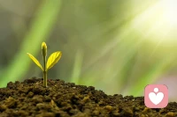 万法皆空，因果不空