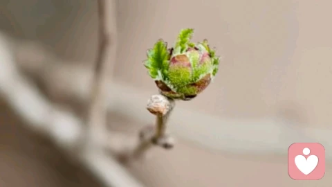 其实，你喜欢的男人类型，反映了你的童年创伤，治愈它，你就赢了