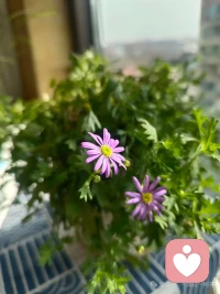 信任的建立，不在于宏大的承诺，而在于无数细微瞬间里“我说到做到”的叠加。审视那些让你失望的关系：崩塌的是一次重大事件，还是无数个被忽略的小小时刻？配图