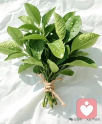 岁月以相同的方式经过每个人，每个人却以不同的方式经过岁月。太感性过不了柴米油盐，太理性过不了风花雪月。情初自愿，事过无悔。首先你要快乐，其次都是其次。配图