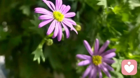 女性成长的三重境界,就是从情绪枷锁到自我觉醒